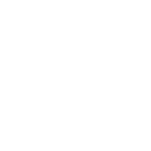 electric generator